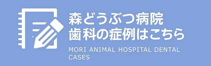 森どうぶつ病院コラム